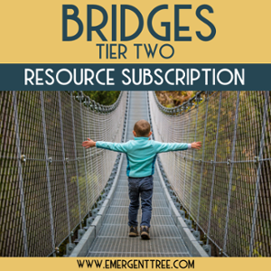 Bridges Tier 2 Resource Subscription-1