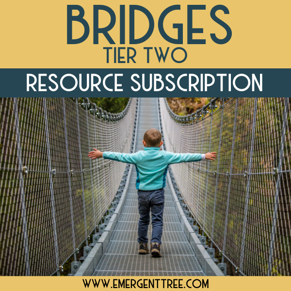 Bridges Tier 2 Resource Subscription