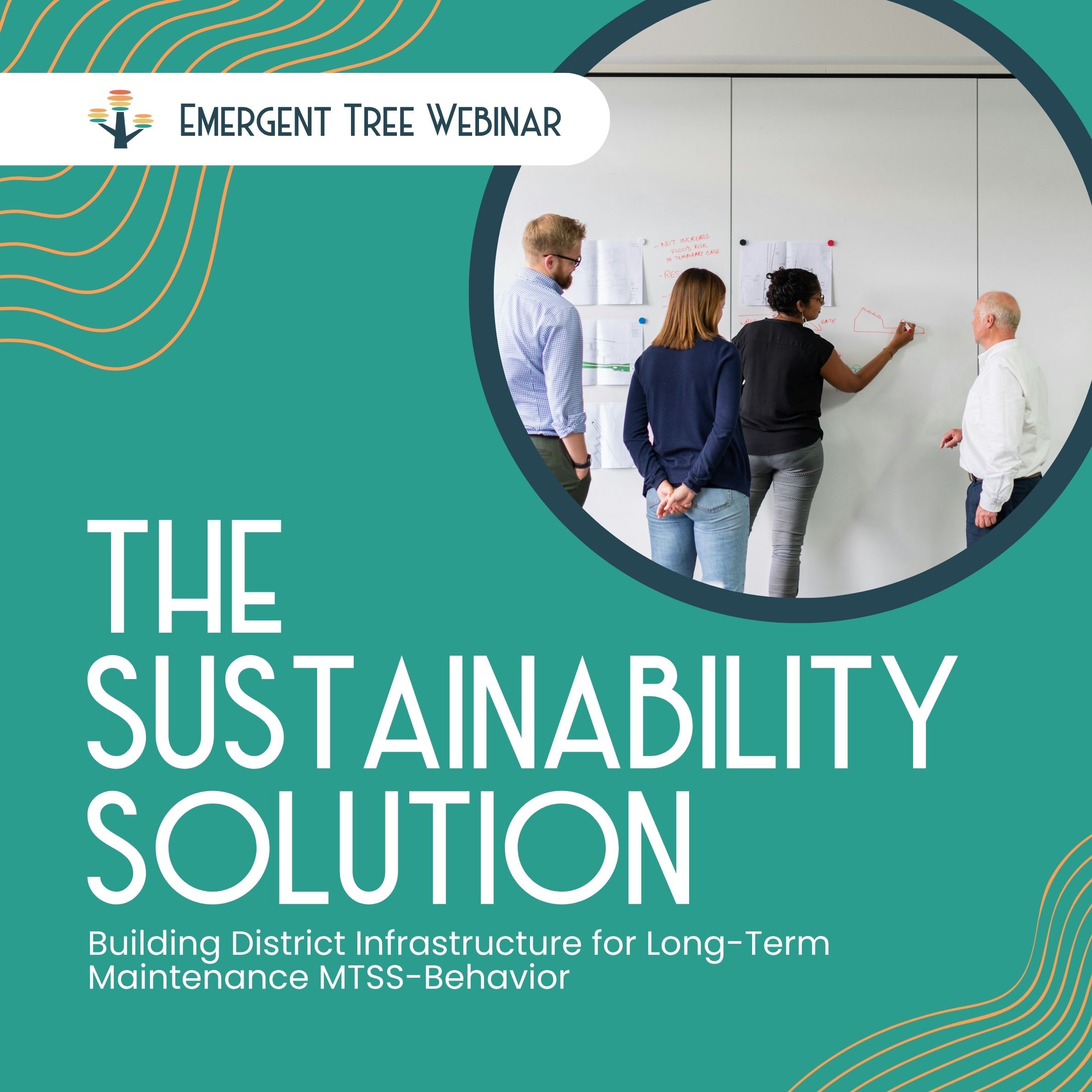 The Sustainability Solution