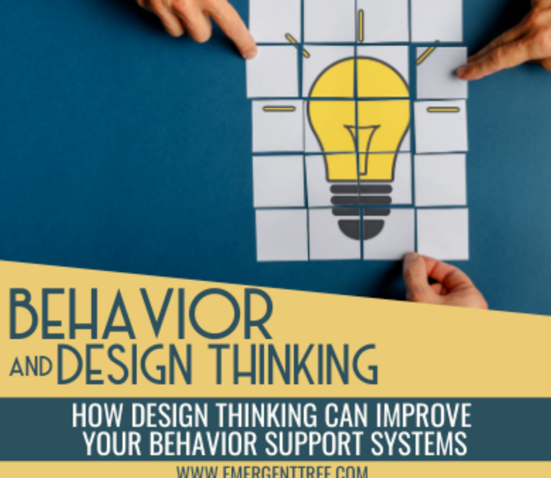 Behavior and Design Thinking (4)