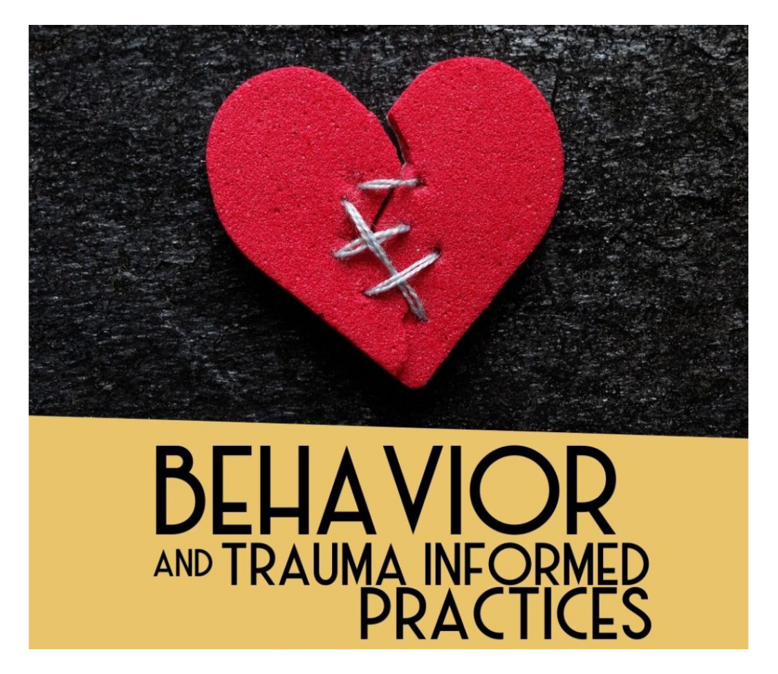 Behavior and Trauma Informed Practices (1)
