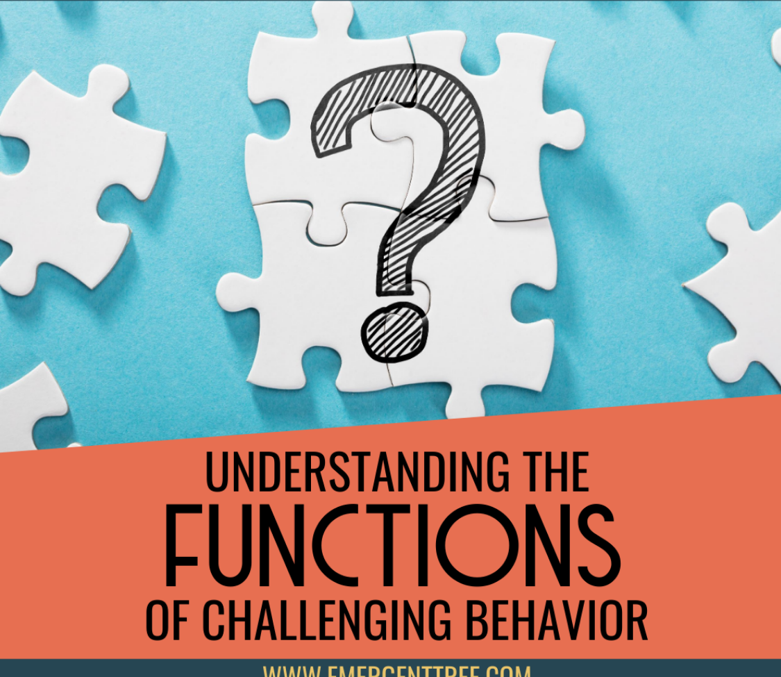 Understanding the Functions of Challenging Behavior (1)
