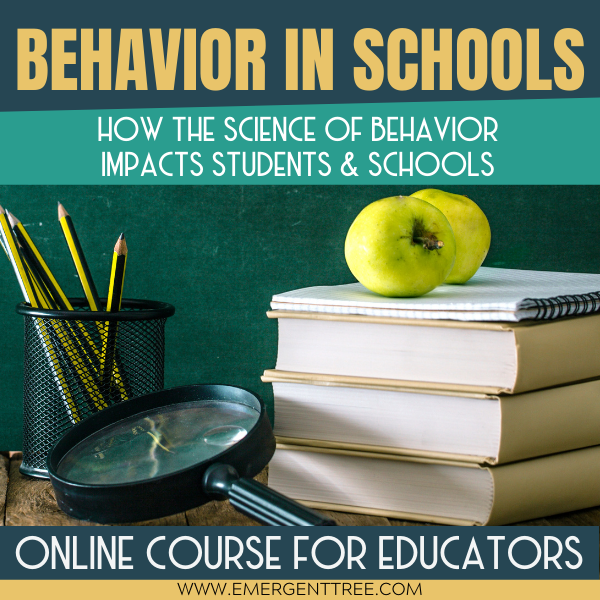 Behavior-in-Schools-1-2