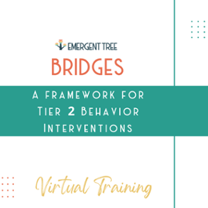 Bridges Training