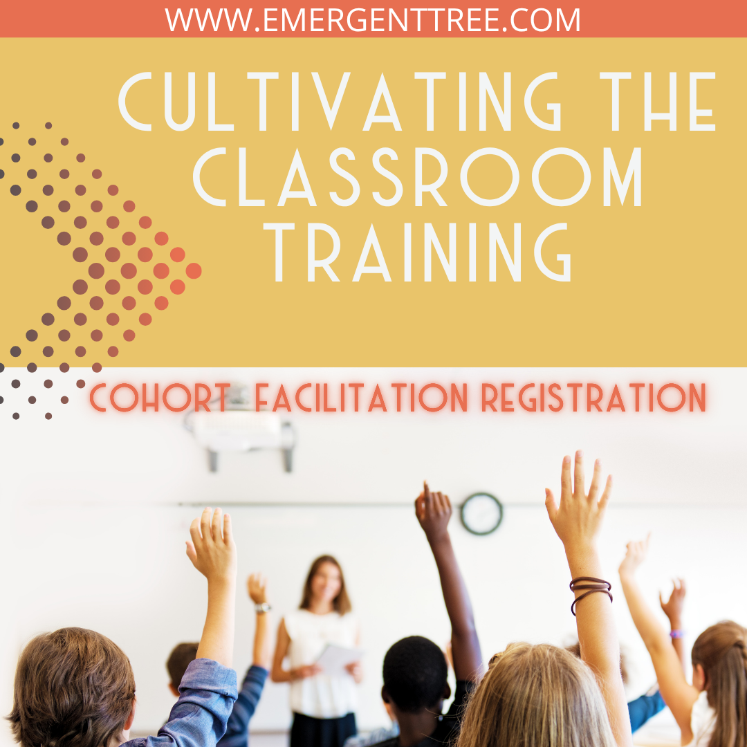 Cohort 1 - CTC Trainings 2024