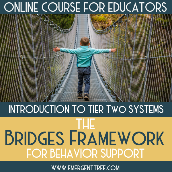 Bridges Framework