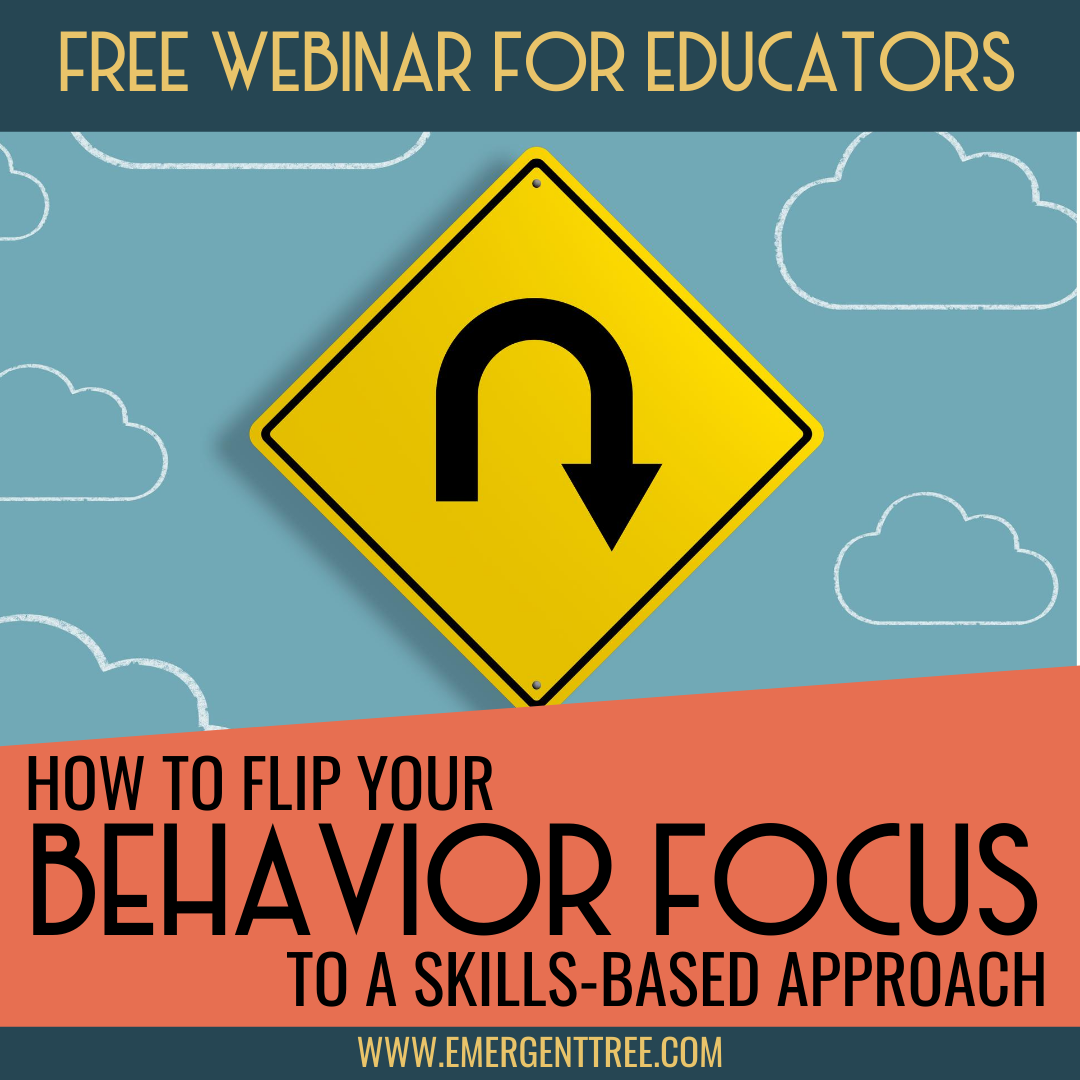 Flip Your Behavior Focus