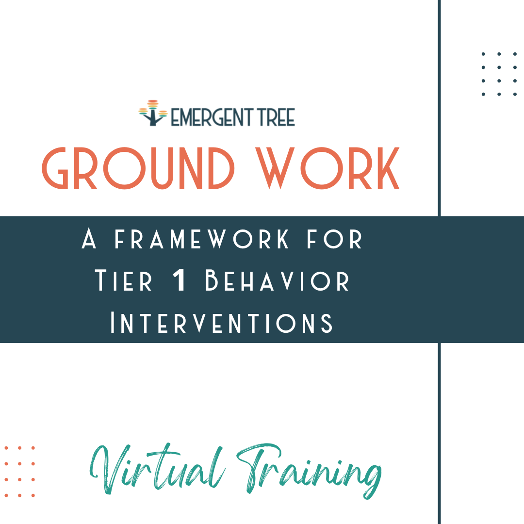 Ground Work Training