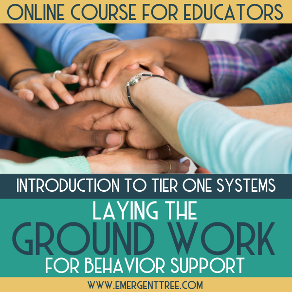 Laying the Groundwork for Behavior Support