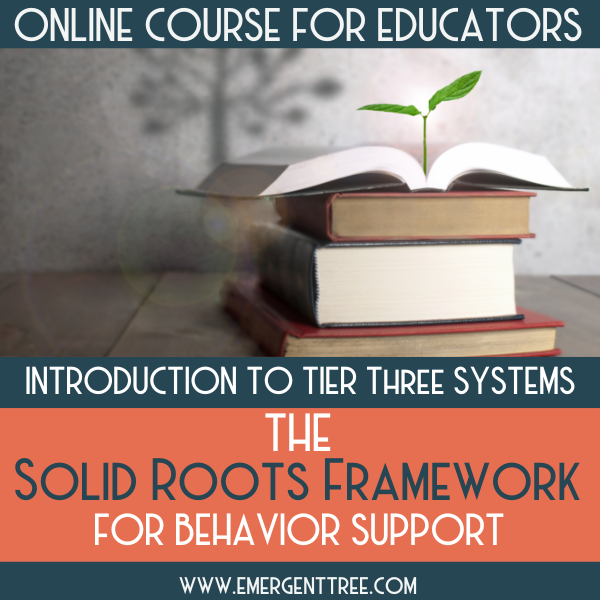 Tier 3 Solid Roots Course Thumbnail